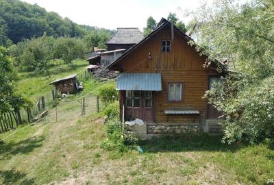 Teren de vanzare in comuna Cicane?ti, sat Bara?ti, Judet Arges. - 8