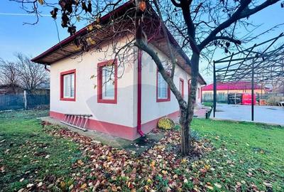 Casa Noua, Mobilata,Pod si Structura pentru Hala,Piscina-Sat Progresul - 2