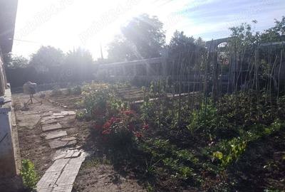 Casă cu 3 camere în Băneasa - 2