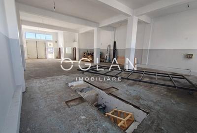 Spatiu comercial 450 mp (P+E)- zona Terezian - 5