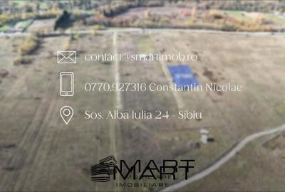 Teren 1000 mp, curent trifazic si fantana  Valea Avrigului - 3