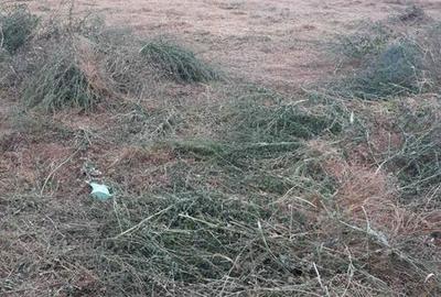 Teren de 500 mp, în Nord