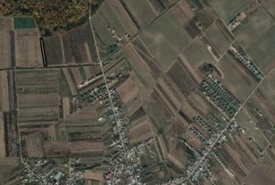 Vanzare teren Sabareni, 5.000 mp, langa Padurea de Tei - 5