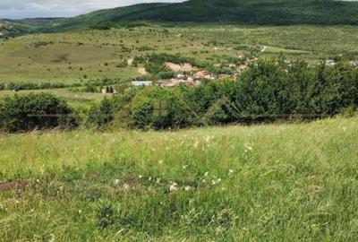 Teren de 2200 mp, în Baciu - 3