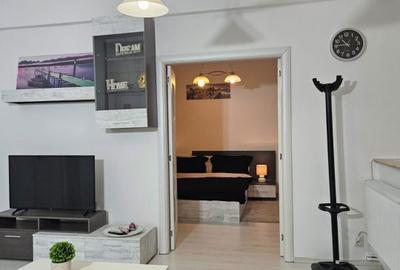 Apartament cu 2 camere semidecomandat, mobilat în Romană - 8