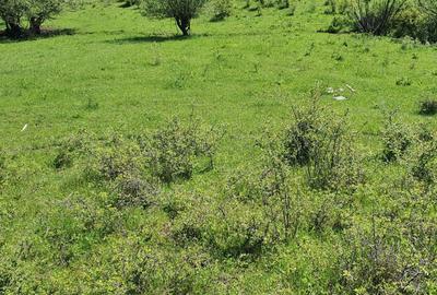 Spațiu comercial, în Crușovița - 1