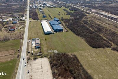 Teren de 7194 mp, în Carașova - 2