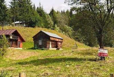 Teren de 4080 mp, în Valea Doftanei - 10