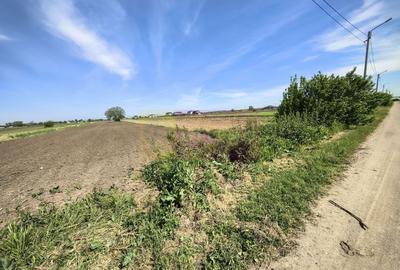 Teren Construcții intravilan de 4770 mp, în Dărăști-Ilfov - 14