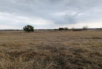 Spațiu comercial, în Tânganu - 2