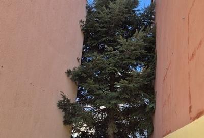 Casă individuală cu 4 camere cu Teren 200 Mp în Bucureștii Noi - 5