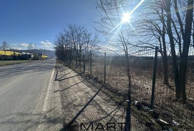 Teren agricol intravilan de 60000 mp, în Bartolomeu - 4