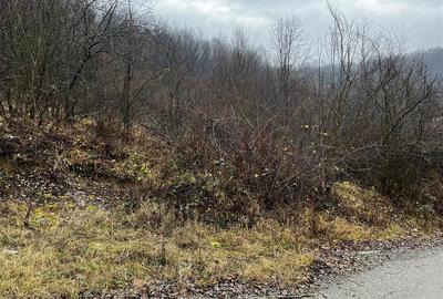 Teren intravilan 653 mp in Boldesti-Scaeni. - 4