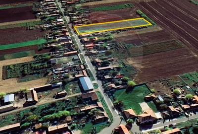 Teren de 5018 mp, în Variașu Mare - 8