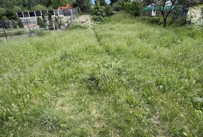 Teren de 1200 mp, în Provița de Sus - 3