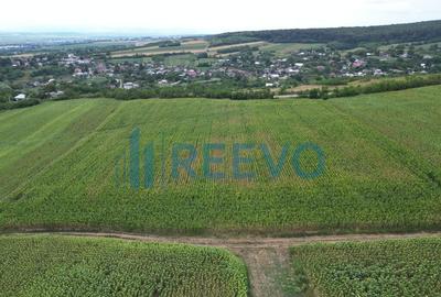 Teren de 3.600 mp Racova - 4