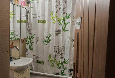 Apartament 3 camere zona Giurgiului - 7