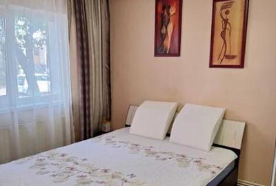 Apartament Mobilat Utilat, 3 camere Radu Negru, parter cu ba - 4