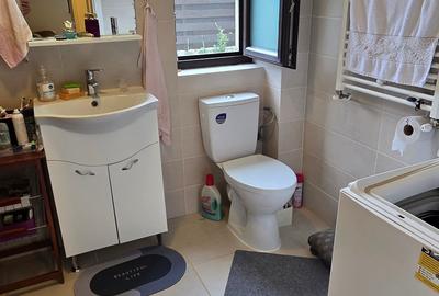 Valea Lupului-ap. 3 camere, open-space, parcare, gradina, mobilat si utilat! - 2