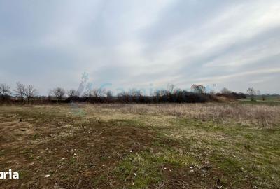 Teren de 5700 mp, în Podgoria