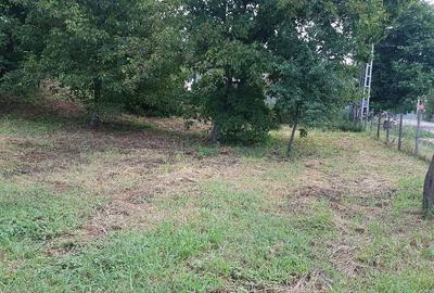 Teren de 4800 mp, în Parava - 4