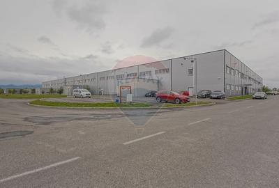 Hală industrială 5.000–12.000 mp de închiriat, Ghimbav - 7