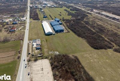 Teren de 7194 mp, în Carașova - 14