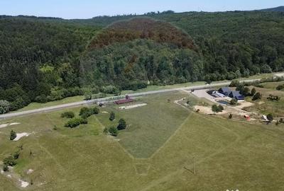 Teren de 5561 mp, în Paltin - 4