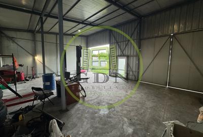 Hala 90mp, teren 300mp, zona Parcul Tineretului - 7