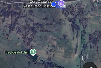Teren de 2000 mp, în Daia - 1
