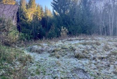 Teren intravilan, 20000 mp, zona Manastirea Humorului - 1