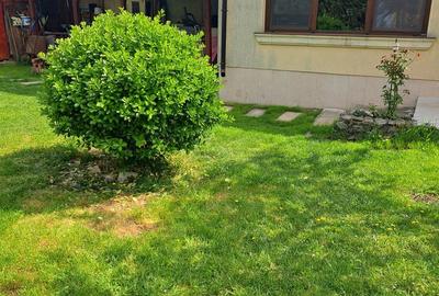 Casă cu 4 camere cu Teren 475 Mp în Cantemir - 2