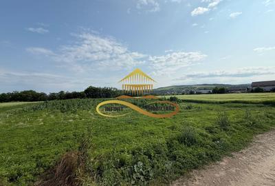 Teren Construcții intravilan de 500 mp, în Crihan - 7