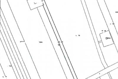 -teren extravilan, com. Satchinez, jud. Timis - 3