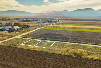 0% Comision | Teren 650 mp | Sacele, Str. Venus | Curent ... - 5