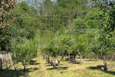 Casă cu 4 camere cu Teren 1650 Mp în Central - 14