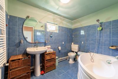 Casă individuală cu 3 camere cu Canalizare în Geamăna - 13