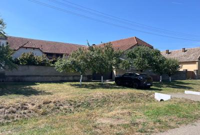 Casă cu 4 camere cu Teren 1500 Mp în Variaș - 6