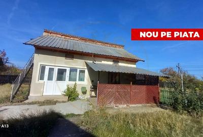0% COMISION!!! CASA CU LAC IN INIMA PADURII  - DEALU BRADULUI - 17