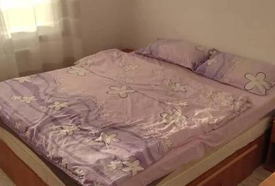 Apartament cu 2 camere,decomandat - zona Calea Bucuresti - 2
