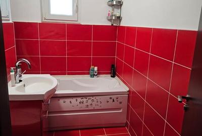 Apartament cu 2 camere decomandat, mobilat în Trocadero - 6