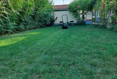 Vand casa in Lugoj, 135000de euro pre? fix! - 6