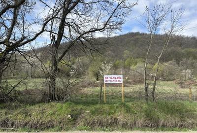 Spațiu comercial, în Eșelnița - 6