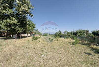 Teren Construcții intravilan de 2841 mp, în Apateu - 13