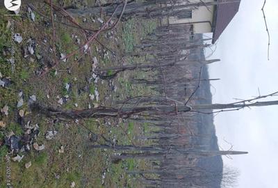 Teren de 16 mp, în Central