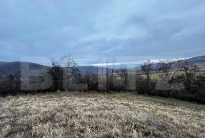 Teren de 4300 mp, în Vințu de Jos - 1