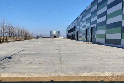 Hala noua, 7014mp, de vanzare, in Biharia, la 3km de autostrada - 4