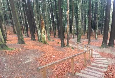 Proprietar vand vila Busteni - 1