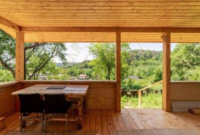CASA EFICIENTA ENERGETIC - NZEB  in mijlocul naturii -Valea Urusului - 10