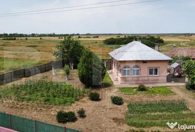 Casă cu 5 camere cu Teren 1400 Mp în Central - 3
